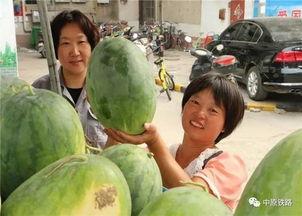 宝龙小区吃瓜,邻里纷争背后的真相揭秘